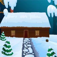 play Arctic-Enagames