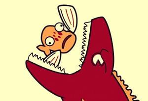 play Fins