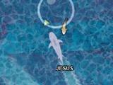 play Shark Dominance Io