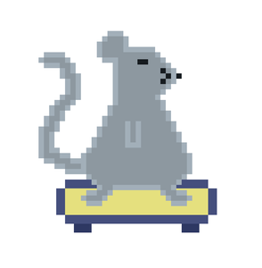 play Skater Rat