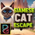 play Siamese Cat Escape