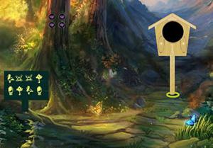 play Weird Wildlife Woods Escape