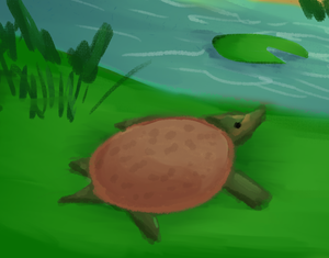 play Pancake