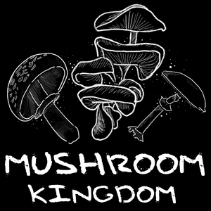play Mushroom Kingdom