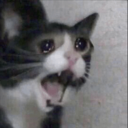 play Click The Kitty Simulator