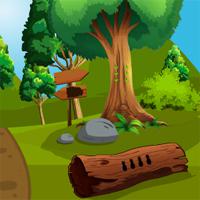play Top10Newgames-Rescue-The-Toucan