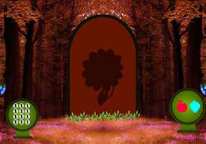 play Mischievous Boy Jungle Escape