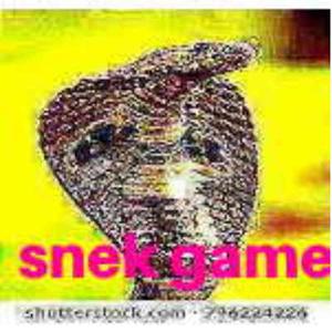play Snek