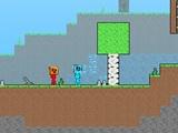 play Fire And Water Stickman