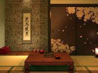 play Japanese Hot Spring