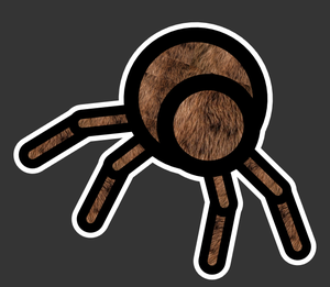 play Spider Slatt