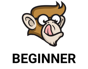 play Codemonkey-Beginner Project