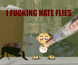 play I Fucking Hate Flies
