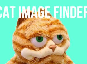 play Cat Image Finder