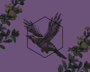play Hexraven Pledging Night