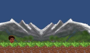 play Super Bruce Run