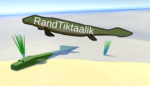 play Randtiktaalik
