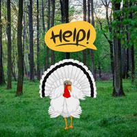 play Queen Turkey Seeks Crown