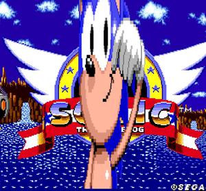 play Sonic The Hedgehog Bad Rom Edtion