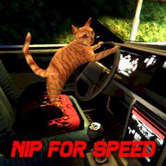 play Nip For Speed