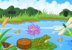 play Save The Frog