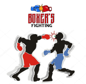 play Boxer'S Fighting