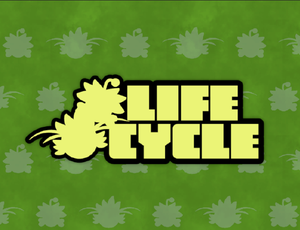 play Life Cycle
