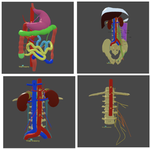 play 3D-Gastrointestinal