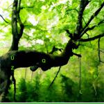 play Green-Forest