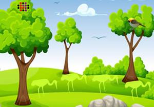 play Rescue The Riding Bird
