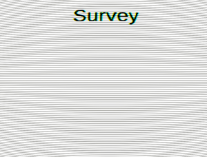 play The Survey