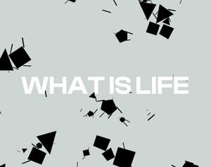 play What Is Life