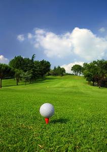 play Golf Game