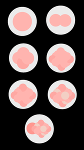 play Bump Defenders