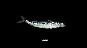 play Mackerel Carpal Tunnel