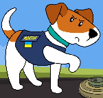 play Game Dog