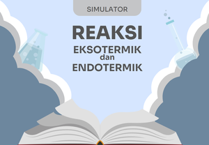 play Simulator Eksoterm Endoterm