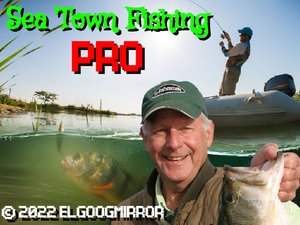 play Sea Town Fishing Pro