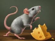 play You Have To Eat Cheese