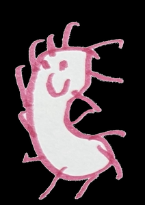play Bacteria