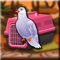 play The-Boy-Rescue-From-Hut-House