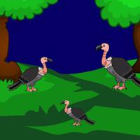 play G2L-Find-The-Toy-Bird
