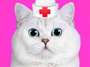 play Cat Pet Doctor Dentist
