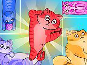 play Block Puzzle Cats