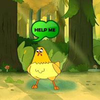 play Hen Locates The Chick