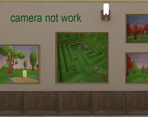 play Camera Not Work