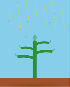 play Capillary Action