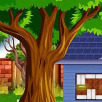 play G2M-Blue-Bird-Rescue