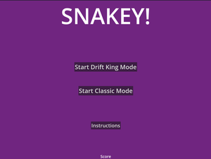 play Snakey!