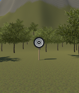 play (My Practice Project)